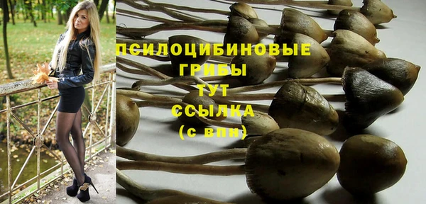 Альфа ПВП Беломорск