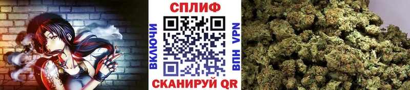 Конопля Bruce Banner Козьмодемьянск